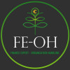 FE-OH MB